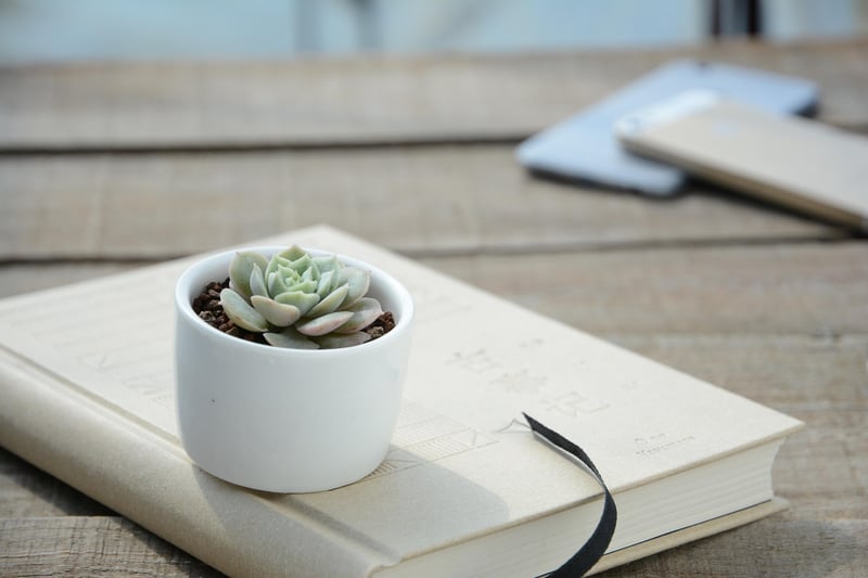 Funky Planters